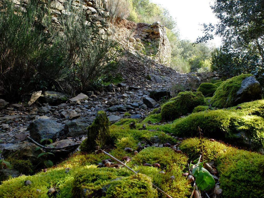 La Maison Du Voyageur Les Ilhes Luaran gambar